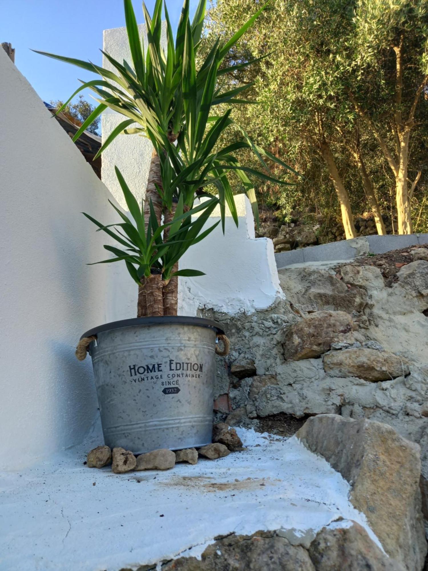 Casa25 Βίλα Alenquer Εξωτερικό φωτογραφία